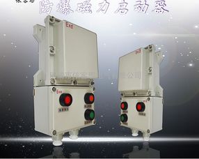 防爆水泵控制箱定做 0.75kw配電箱廠家批發(fā)價(jià)格圖片 高清大圖 谷瀑環(huán)保